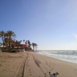IMG_20210319_102526